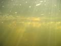 dryway_10_11_03 047
