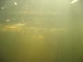 dryway_10_11_03 048