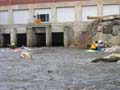 piscat 11 02 03 009