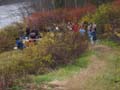piscat 11 02 03 135