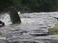 west_09_20_03 007