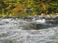 west_09_20_03 062