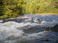 west_09_20_03 072