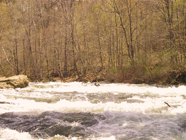 231-3198_IMG.jpg
