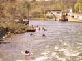 232-3203_IMG