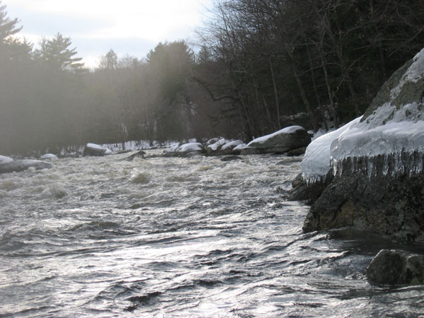 100_0060.jpg