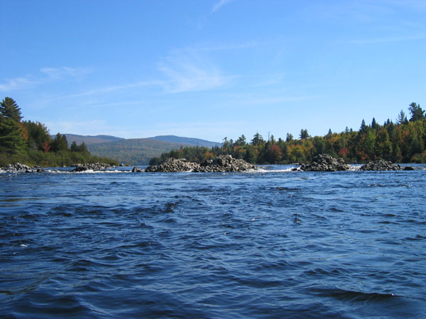 IMG_0025.jpg
