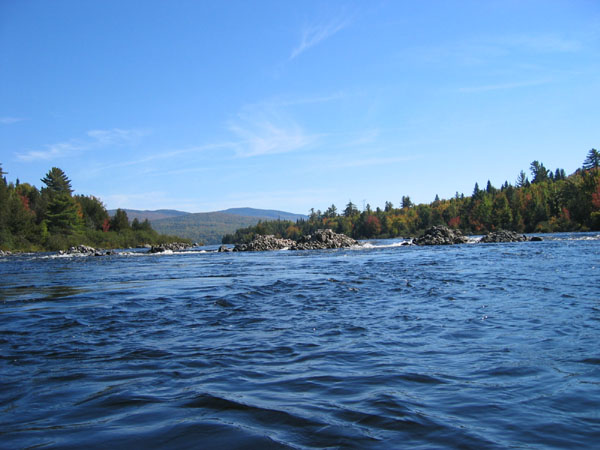 IMG_0026.jpg