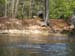 BLACK WATER 013