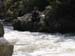 BLACK WATER 037