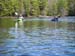 BLACK WATER 066
