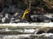 BLACK WATER 078