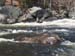 BLACK WATER 089