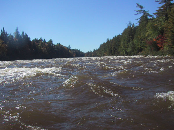 IMG_7708.jpg