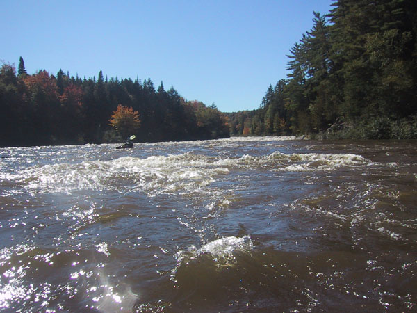 IMG_7730.jpg