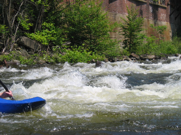 IMG_0020.jpg
