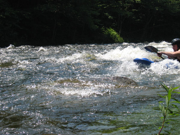 IMG_0050.jpg