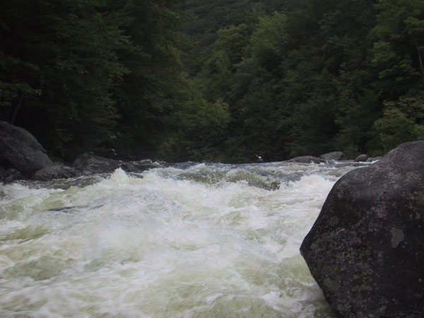 IMG_7588.jpg