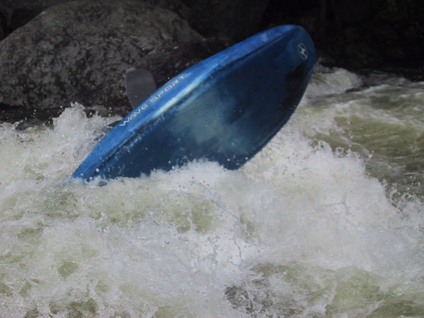 IMG_7593.jpg