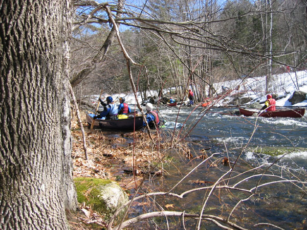 IMG_0020.jpg