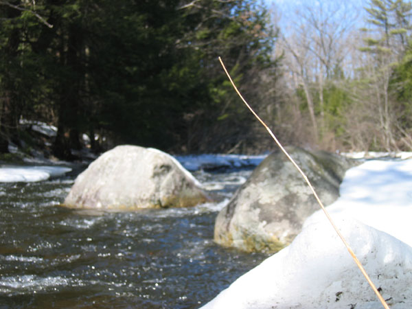 IMG_0048.jpg