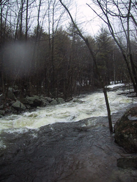 IMG_7067.jpg