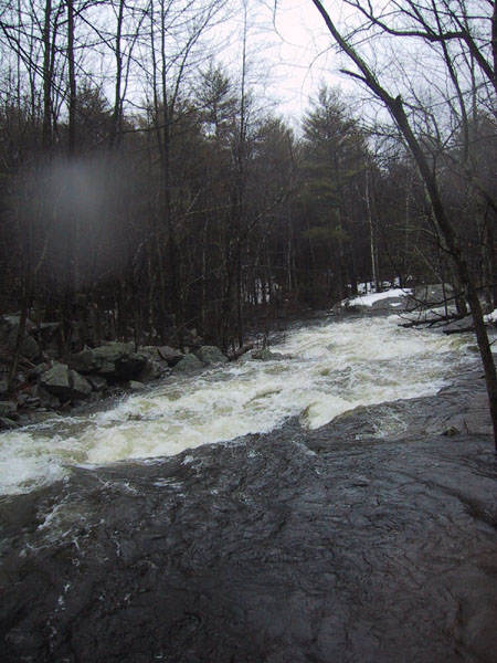 IMG_7068.jpg