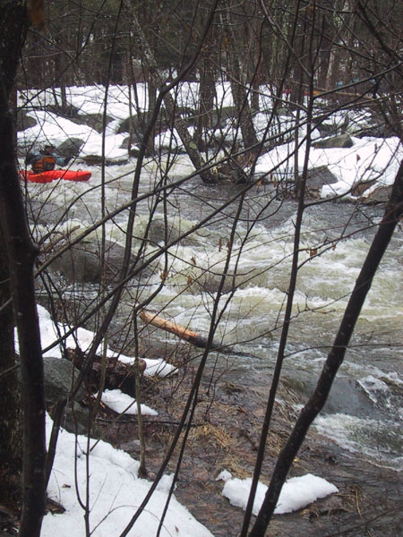 IMG_7098.jpg