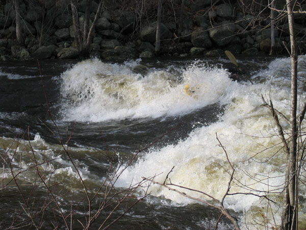 100_0009.jpg