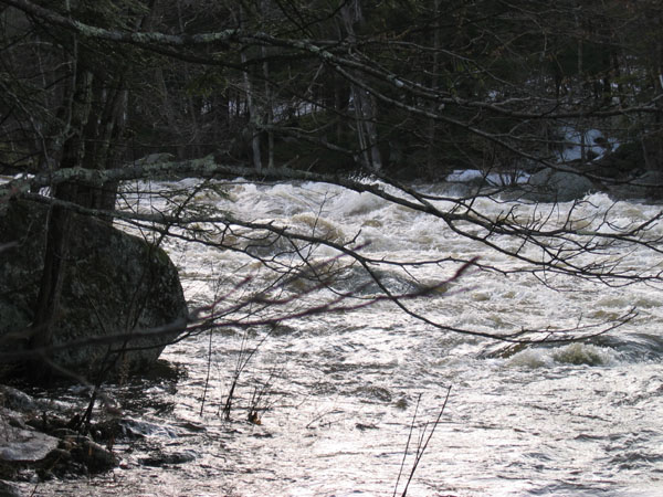 100_0030.jpg
