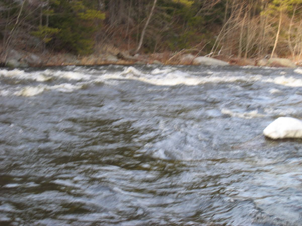 100_0031.jpg