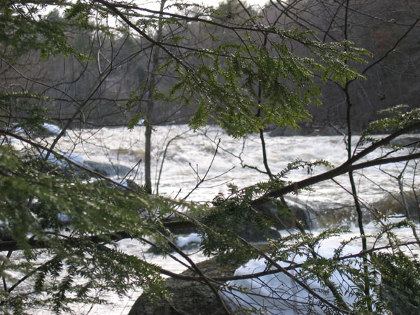 100_0034.jpg