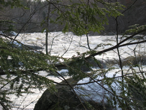 100_0035.jpg