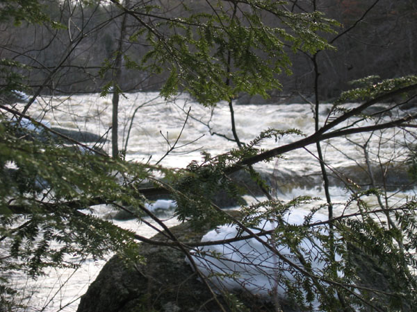100_0036.jpg