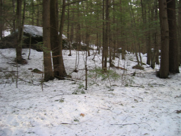 100_0038.jpg