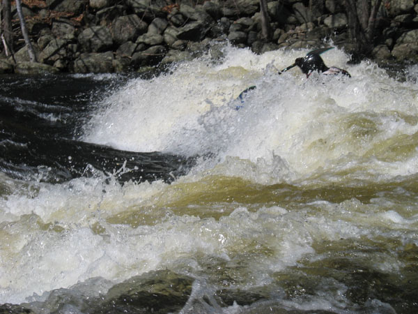 100_0049.jpg