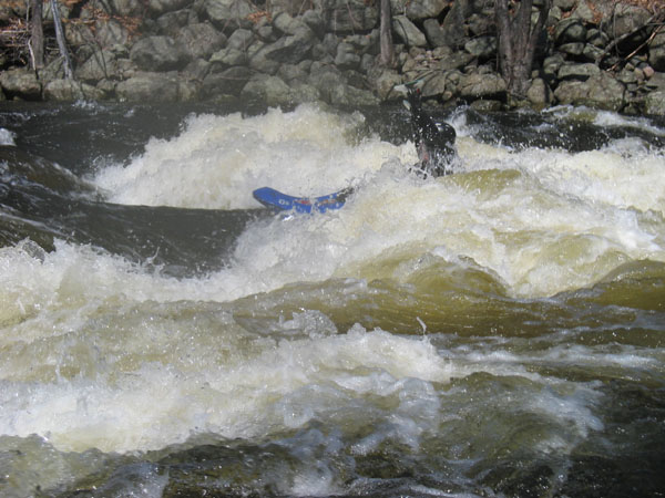 IMG_0008.jpg