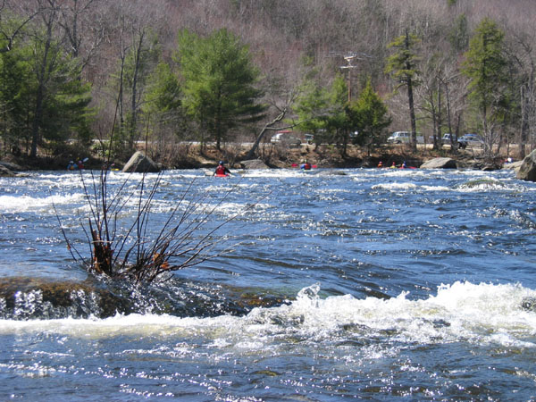 100_0035.jpg