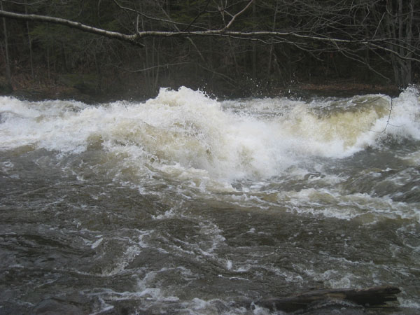 100_0010.jpg