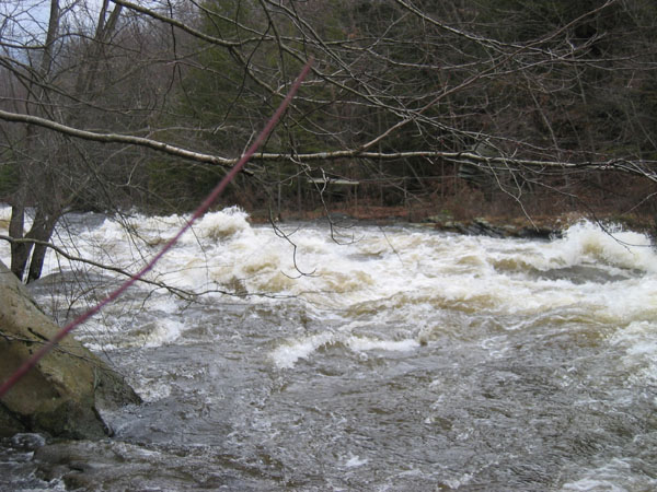 100_0014.jpg