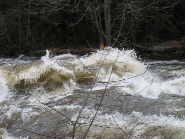 100_0017.jpg
