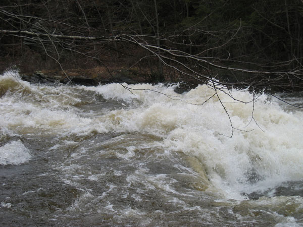 100_0018.jpg