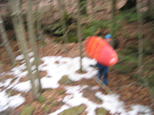 100_0022.jpg