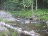 Picture 003