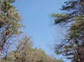 Picture 044