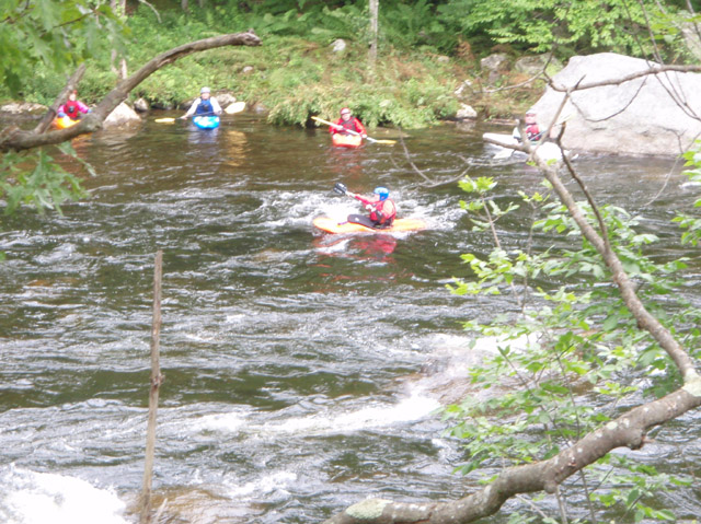 P7110027.jpg