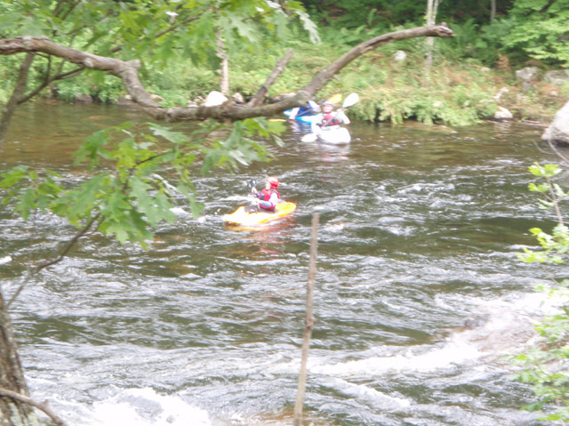 P7110042.jpg