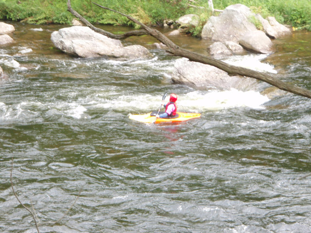 P7110043.jpg