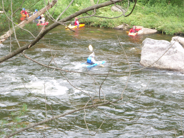 P7110054.jpg