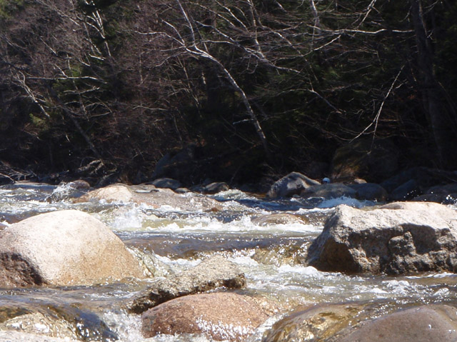 P4250153.jpg